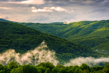 foggy mountain ridge over the forest in springtime