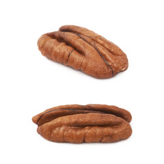 Single pecan nut isolated