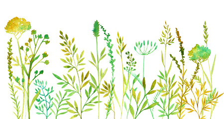 hand drawn color floral background