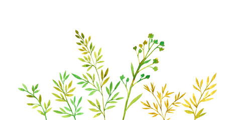 hand drawn color floral background