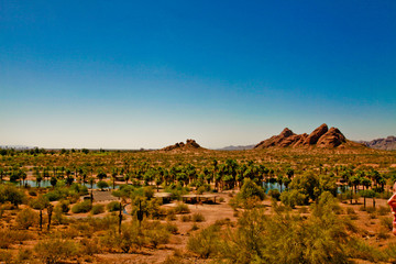 Fototapeta na wymiar Phoenix Landscape with Mountain in background