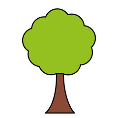 tree icon over white background. colorful design. vector illustration