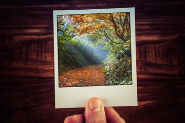 Polaroid postcard photograph of moody sunlight shining through Autumn foliage on empty footpath with copy space. Travel memories scrapbooking of good old times