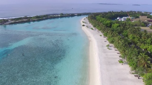 AERIAL: Amazing sandy beach and turquoise water in exotic Maldives over a green tropical forest