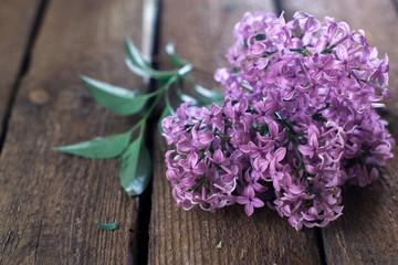 Obraz na płótnie Canvas Blossoming lilac on a wooden background.