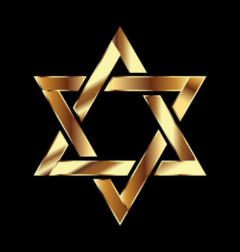 Gold star symbol logo vector