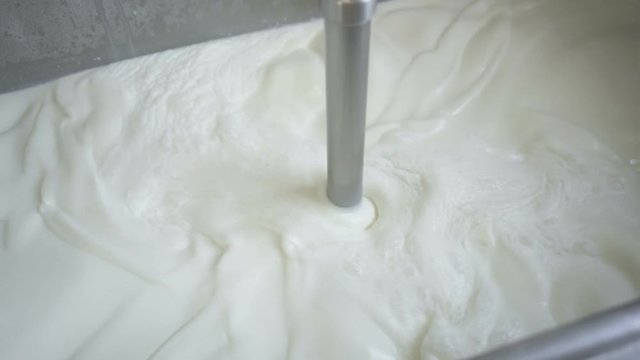 Industrial mixer whip milk for gelato ice cream