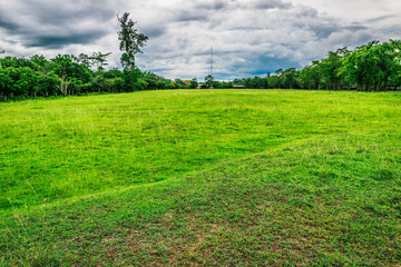 lawn at Khao Ang Rue Nai Wildlife Sanctuary in Thailand