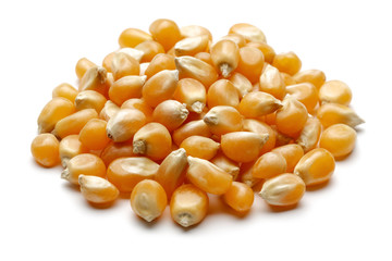 Unpopped popcorn