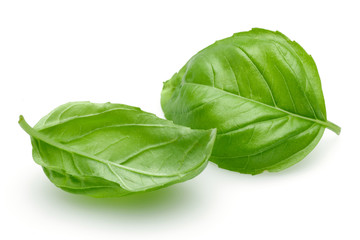 Basil