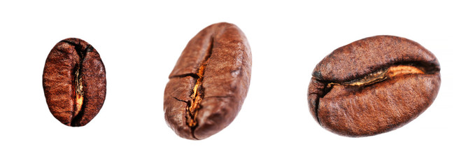 Coffee beans collection  Isolated on white background, closeup, macro .
