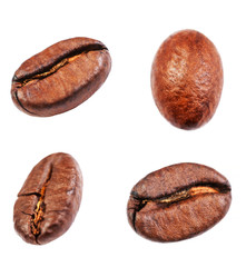 Coffee beans collection  Isolated on white background, closeup, macro .