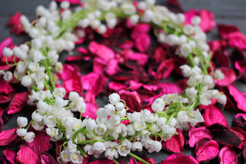 Still-life: a wreath of lilies of the valley on a dark background