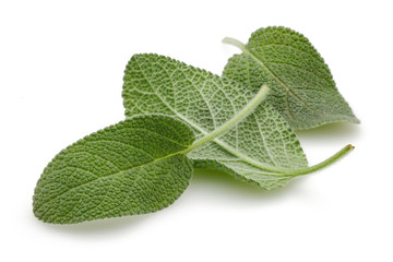 Fresh sage leaves