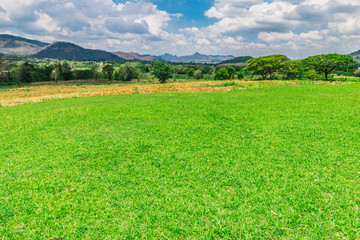 Landscape meadow mountains