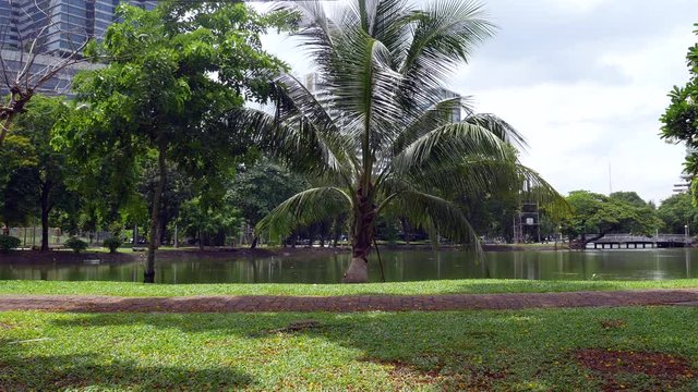 Thailande Bangkok Lumpini Park
