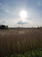 Zachód słońca © michalsen