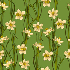 Elegance Seamless pattern with flowers daffodils, vector floral illustration in vintage style. Green background