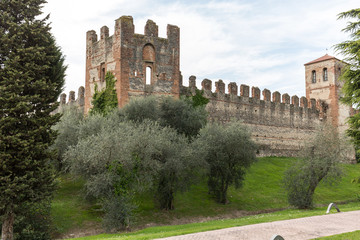 Fototapeta na wymiar Scaligeri Castle in Lazise at Lake Garda, Italy
