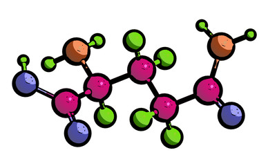 Molecular structure of L - glutamine