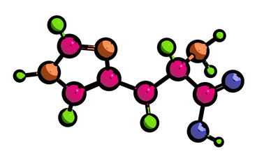 Molecular structure of L-histidine