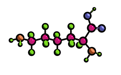 Molecular structure of L-lysine