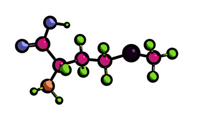 Molecular structure of methionine