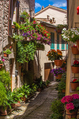 Fototapeta na wymiar Vicolo addobbato con piante e fiori nel piccolo borgo medievale di Spello, Umbria