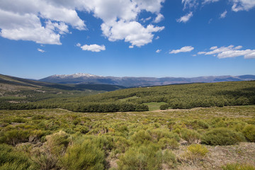 Fototapeta na wymiar landscape green countryside, trees, blue sky and clouds in Lozoya Valley and Guadarrama Natural Park, from Morcuera mountains, in Madrid, Spain, Europe 