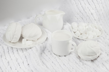 Fototapeta na wymiar breakfast, plate of marshmellow, white zephyr and milk in coffee cup on white background, still life in white. monochrome setting, high key
