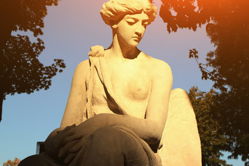 The goddess of love in Greek mythology, Aphrodite (Venus in Roman mythology)