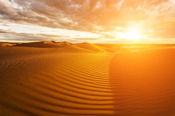  Gouden zand en duinen van de woestijn. Mongolië © Anton Petrus