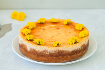 Close up of freshly baked new york styled cheesecake with dandelion honey garnished with flowers