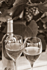 The composition of tartaric paraphernalia, on the topic the wine.
