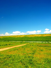 春の河川敷風景