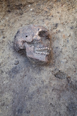 Archaeological excavation with skeletons