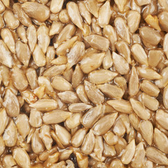 Close-up of a gozinaki confection