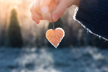Heart shaped leaf