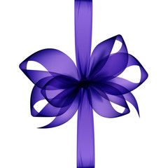 Purple Transparent Bow and Ribbon Top View Close up Isolated on White Background