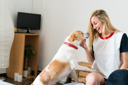 Sexy young woman at home playing with her dog