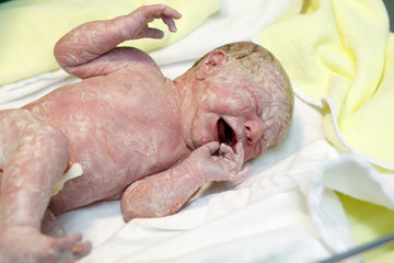 Fototapeta premium Newborn baby child seconds and minutes after birth lying on towel