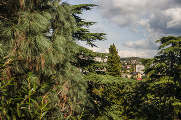 View from the forest on the seaside town of Partenit in Crimea