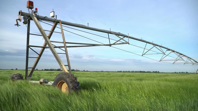 Wheat field irrigation system