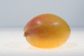 ripe organic yellow mango ready to eat close up