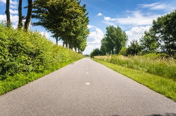 Bicycle Lane Through the Countryside and Blue Sky