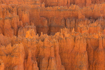 Scenic view of red sandstone hoodoos in Bryce Canyon National Park in Utah, USA