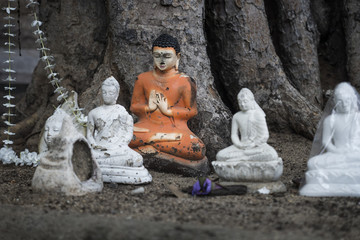 Buddha sacrifices under the bodhi tree, Anuradhapura, Sri Lanka
