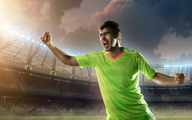 Fototapeta na wymiar soccer player celebrates a goal on a stadium