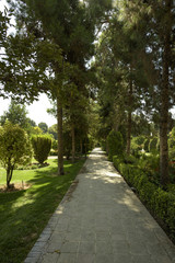 Fototapeta na wymiar Eram Garden in Shiraz, Iran. Garden has led to its designation as a UNESCO World Heritage Site. 