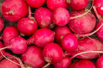 Fresh healthy red raddisch closeup